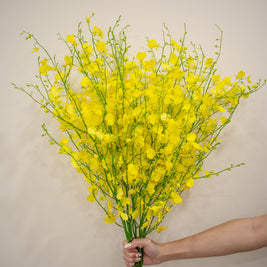 ONCIDIUM YELLOW