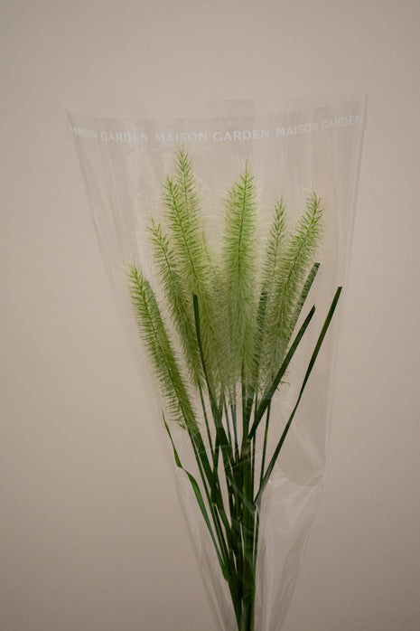 PENNISETUM