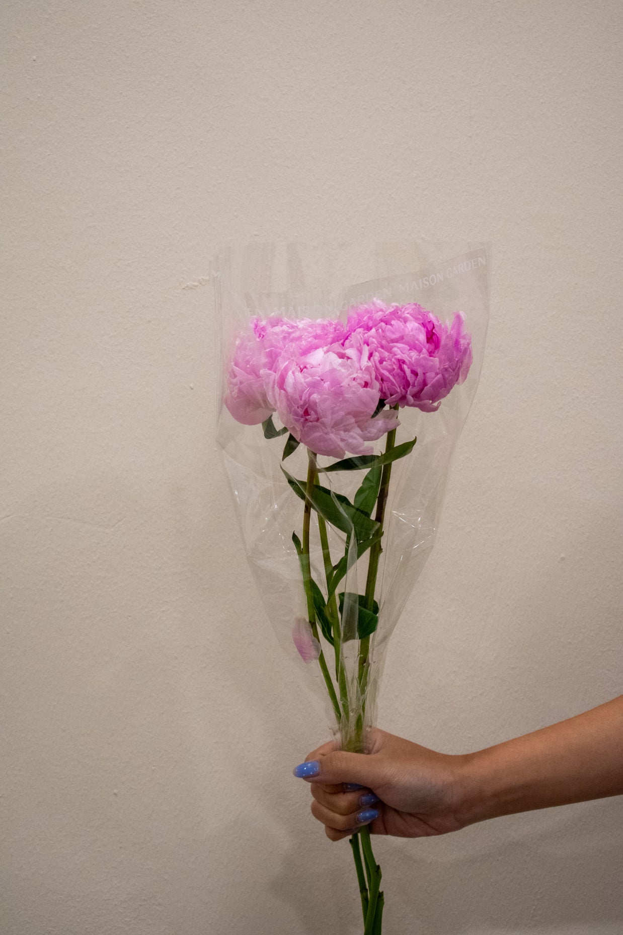 PEONY SARAH BERNHARD