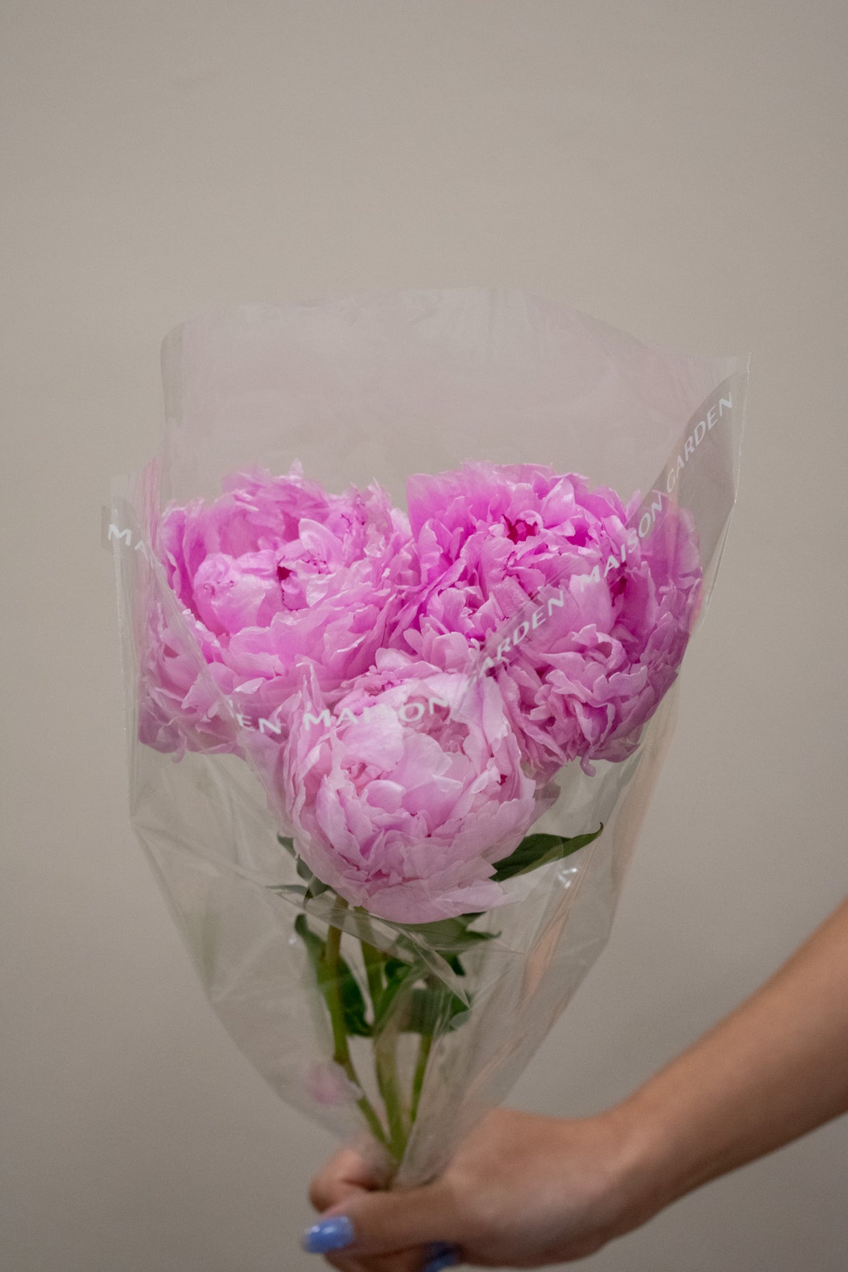 PEONY SARAH BERNHARD