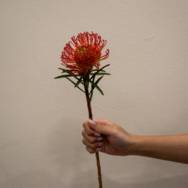 PINCUSHION RED