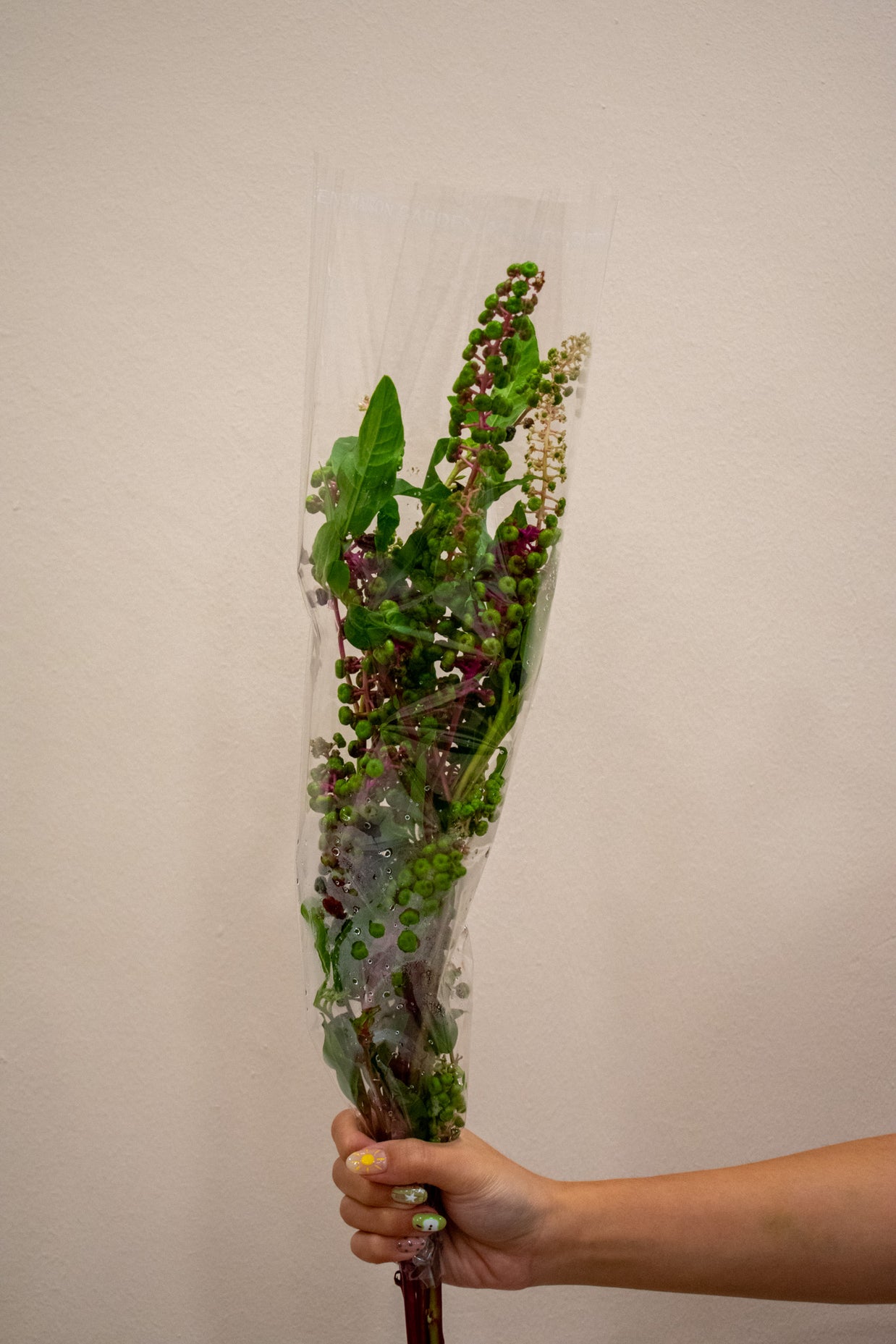 POKEWEED