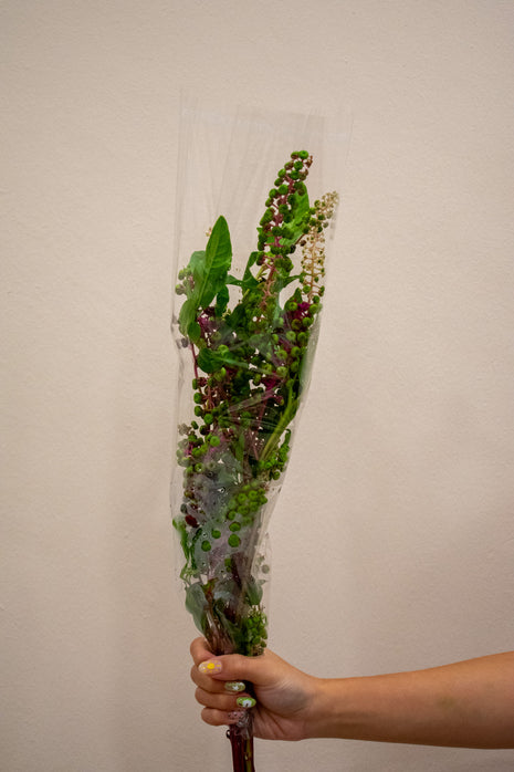 POKEWEED