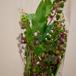 POKEWEED