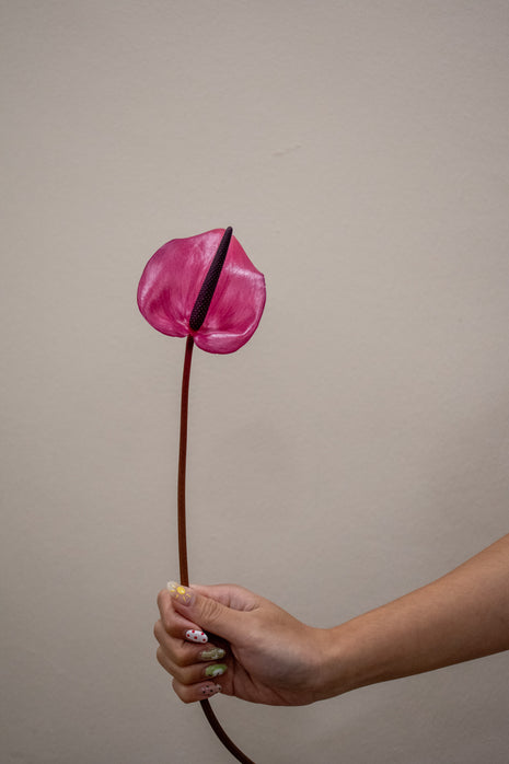 0 PURPLE ANTHURIUM