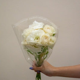 RANUNCULUS ROMANCE MONTENVERS