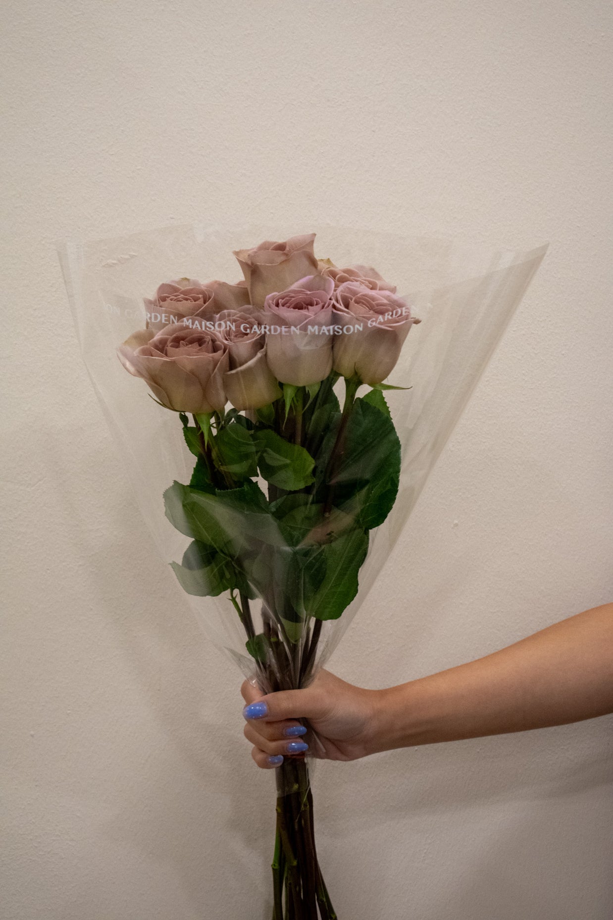 ROSE AMNESIA
