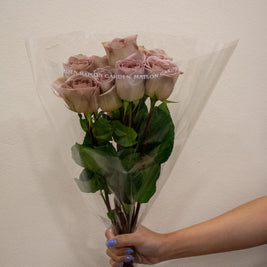 ROSE AMNESIA