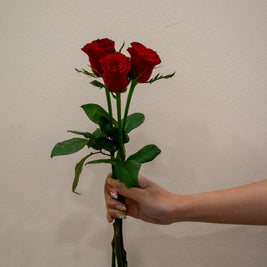 ROSE CHINA RED