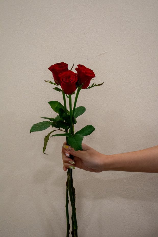 ROSE CHINA RED