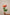 ROSE SOUTH PARK
