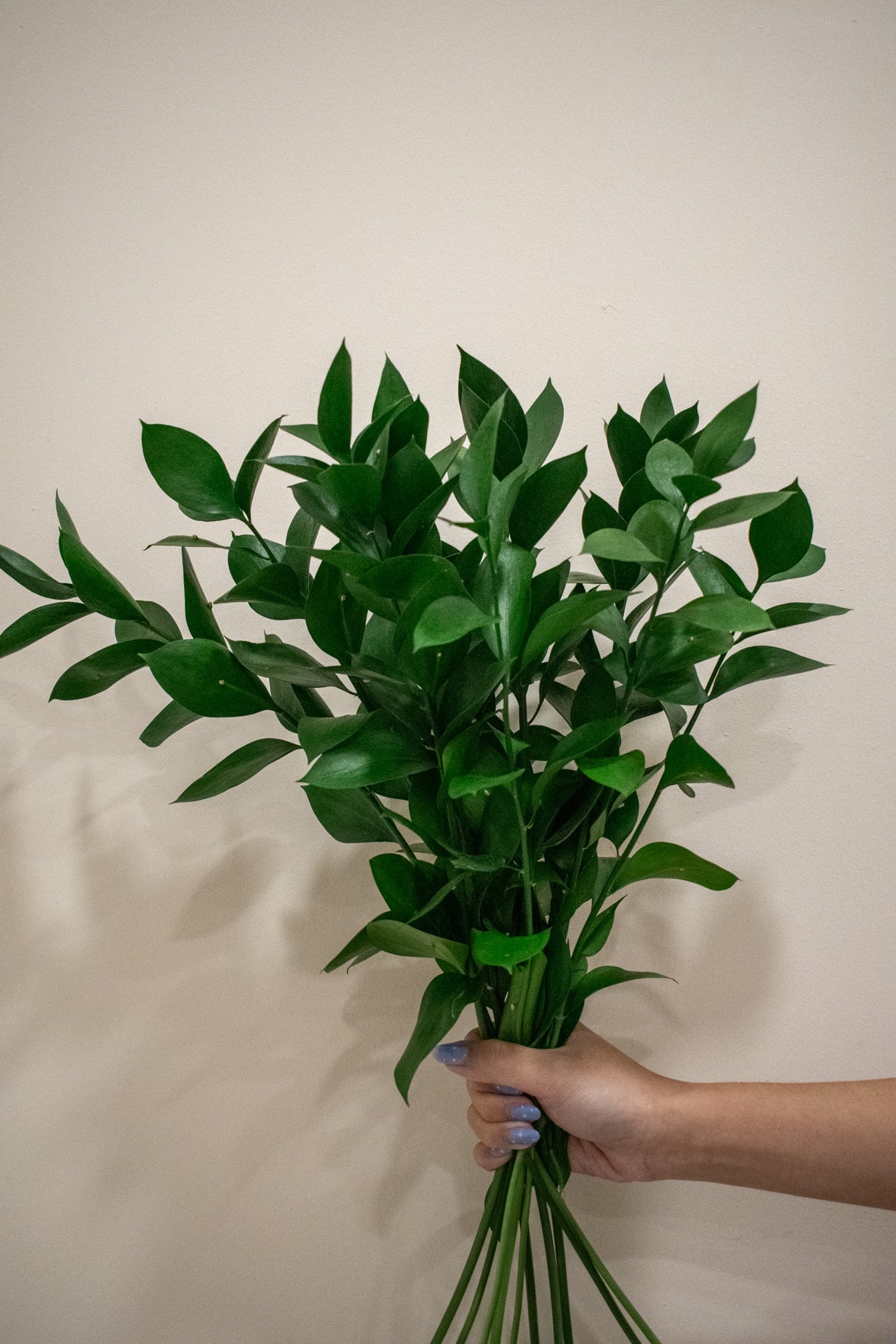 RUSCUS