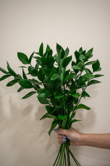 RUSCUS