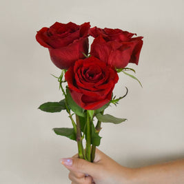 RedKenyaRose