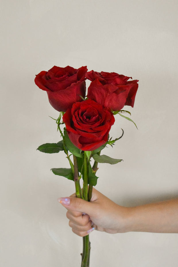 RedKenyaRose