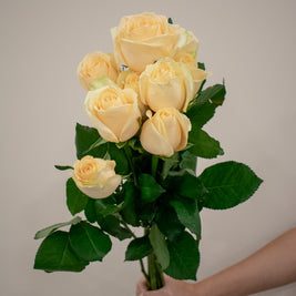 ROSE AVALANCHE PEACH