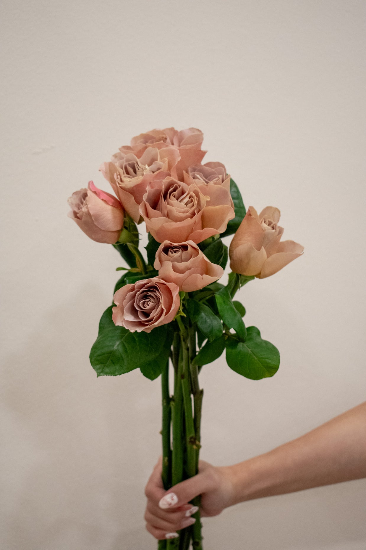 ROSE CAFE LATTE