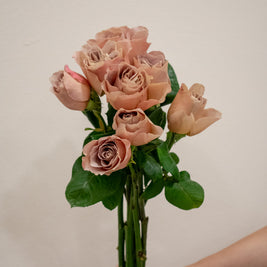 ROSE CAFE LATTE