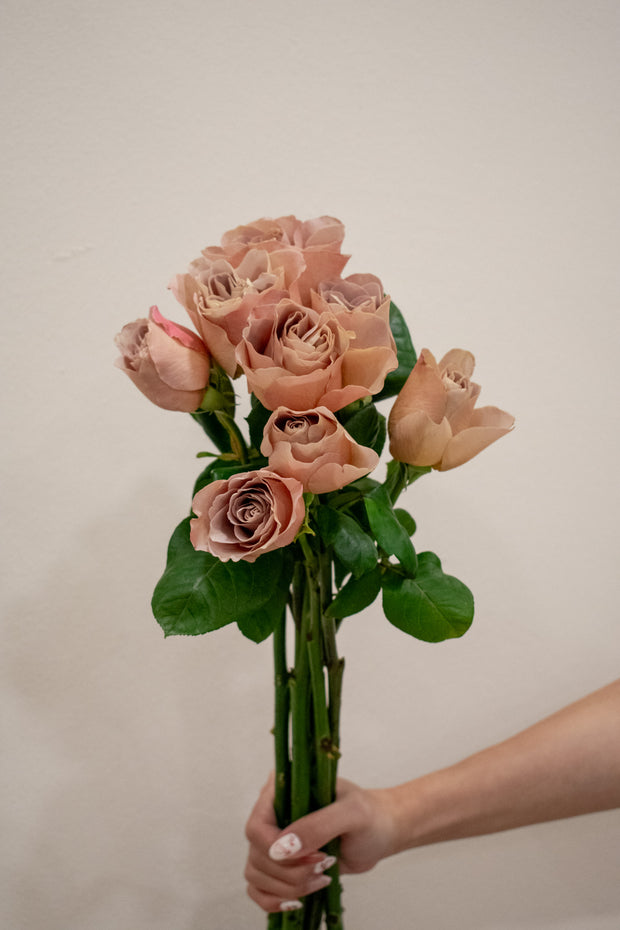 ROSE CAFE LATTE