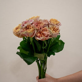 ROSE EL PATRON