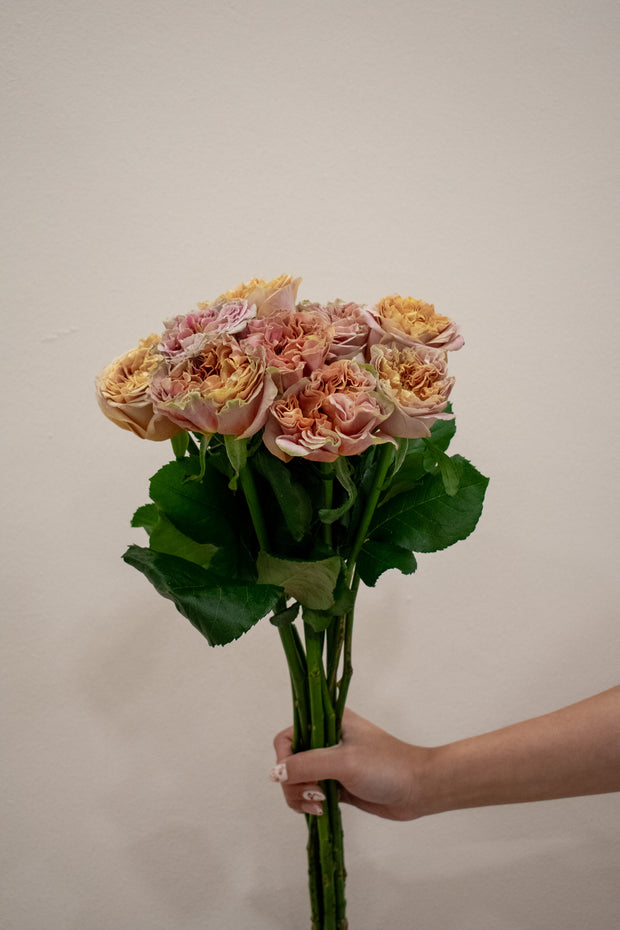 ROSE EL PATRON