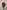 ROSE KENYA RED