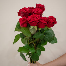 ROSE KENYA RED