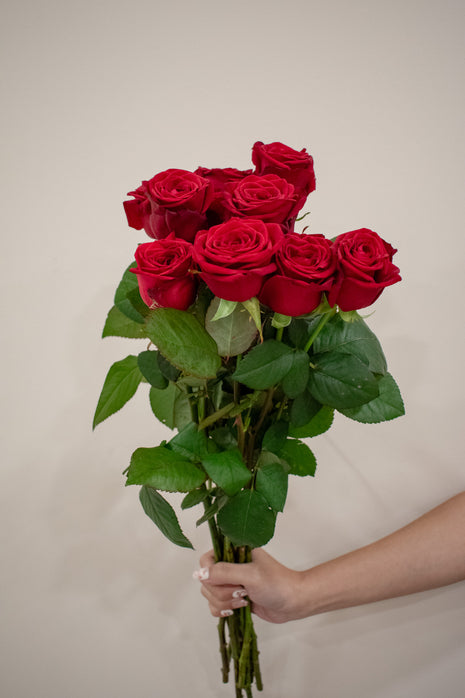 ROSE KENYA RED