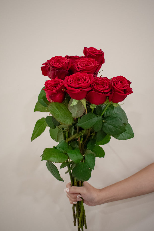 ROSE KENYA RED