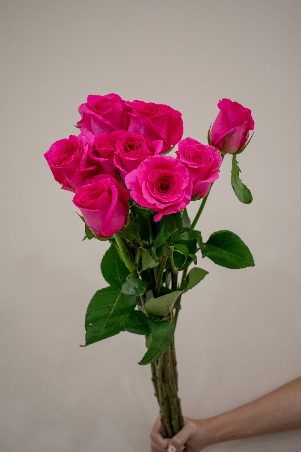 ROSE PINK FLOYD