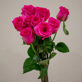 ROSE PINK FLOYD