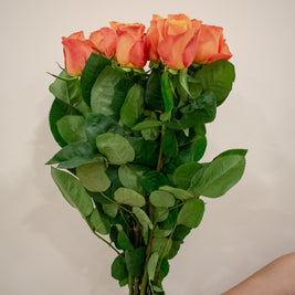 ROSE TWO TONED ORANGE