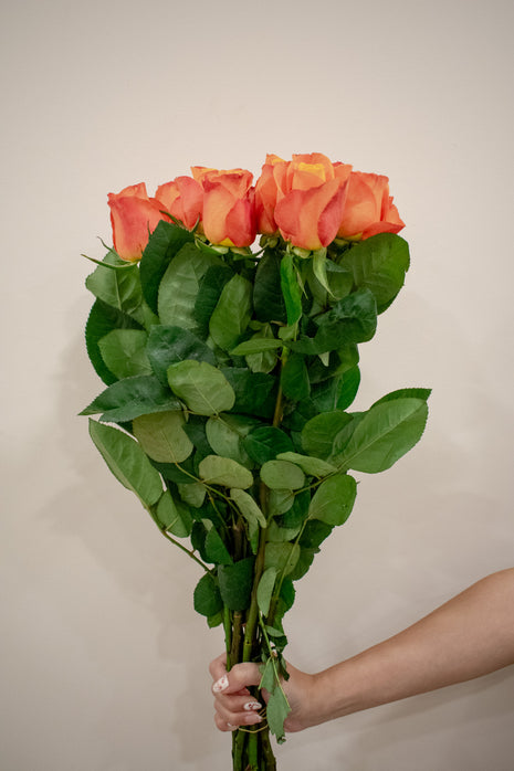 ROSE TWO TONED ORANGE