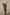 SNAPDRAGON ROSE ANTIQUE