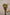 SNAPDRAGON ROSE ANTIQUE