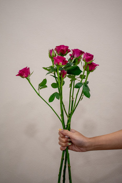 SPRAY ROSE BLUEBERRY