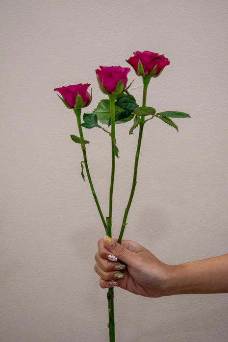 0 SPRAY ROSE BLUEBERRY