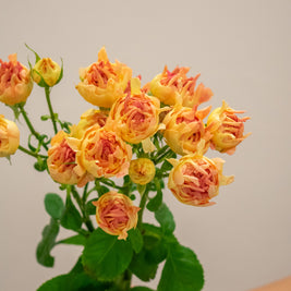 SPRAY ROSE FLAME