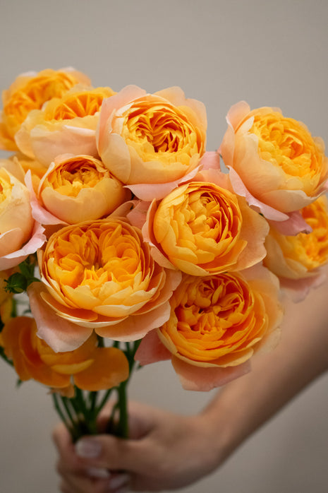 SPRAY ROSE JUICE TERRACE