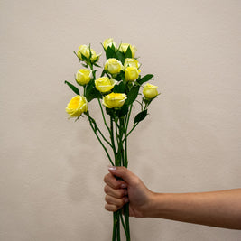 SPRAY ROSE LIGHT YELLOW