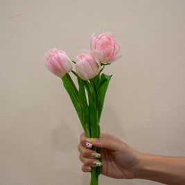 TULIP FOXTROT