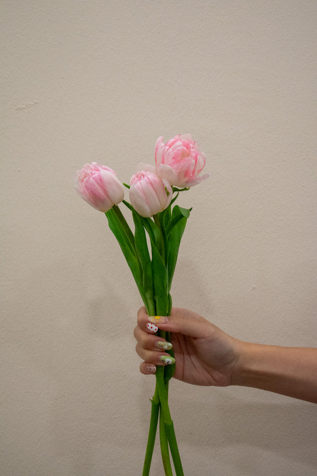 TULIP FOXTROT