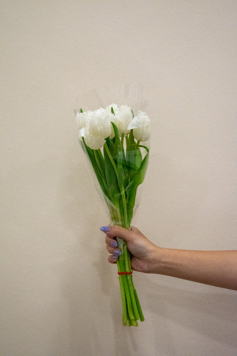 TULIP FRINGED HONEYMOON