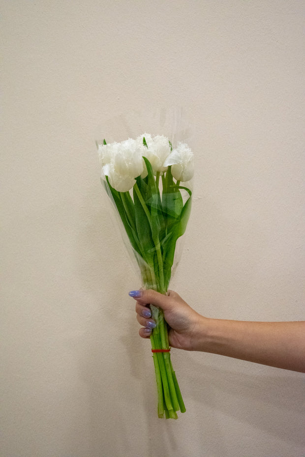 TULIP FRINGED HONEYMOON