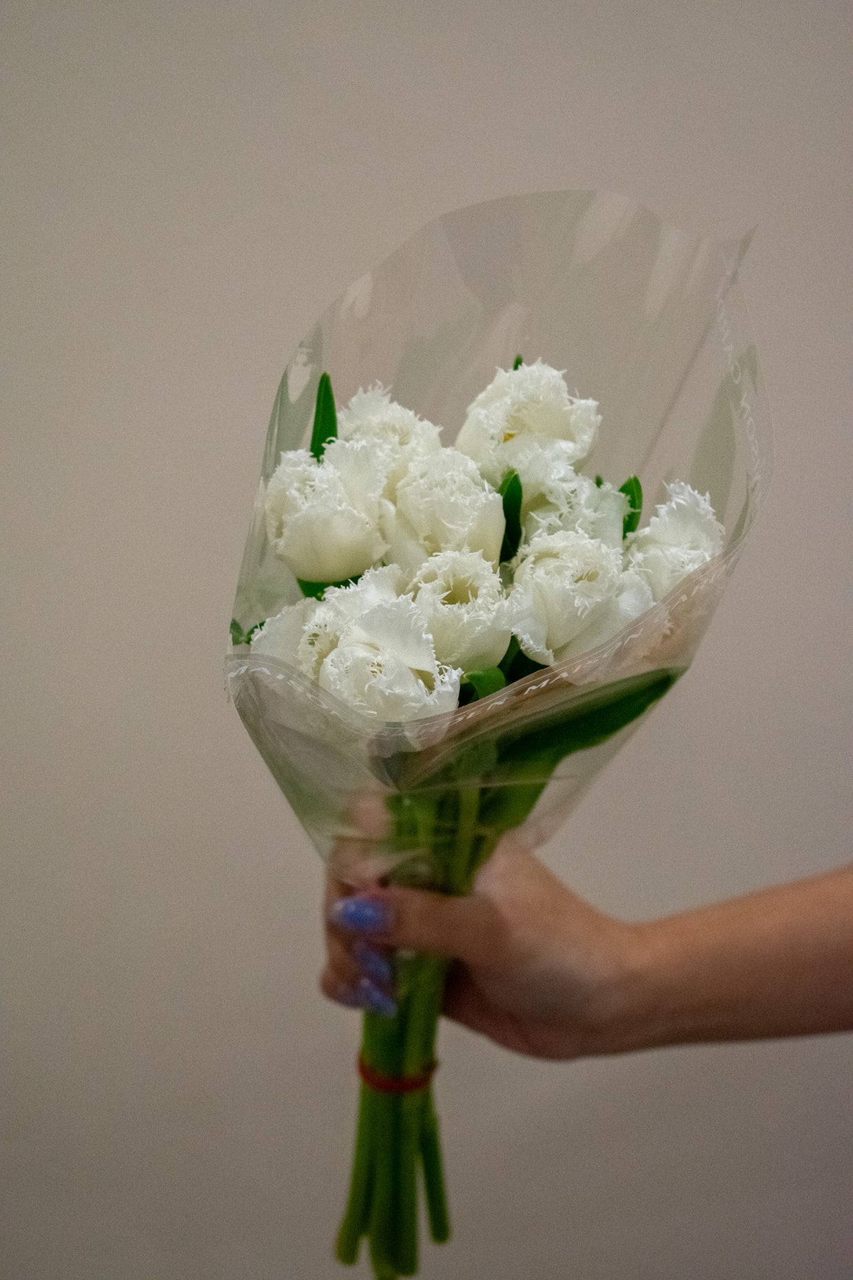TULIP FRINGED HONEYMOON