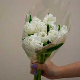 TULIP FRINGED HONEYMOON