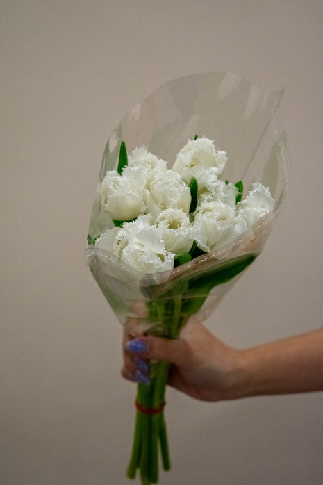 TULIP FRINGED HONEYMOON
