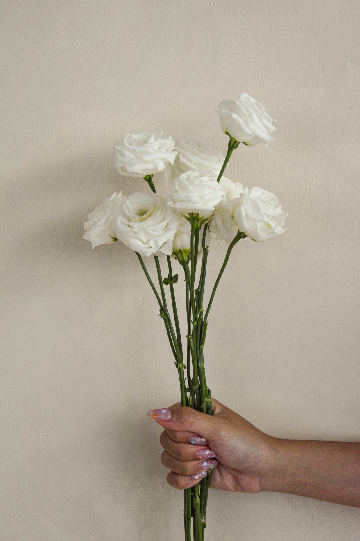 WhiteEustoma
