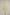 Yellow_Oncidium